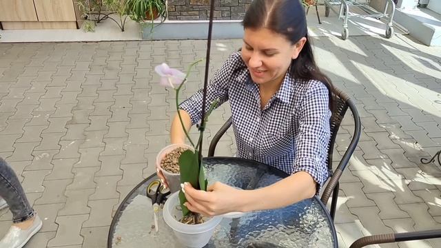 Мастер КЛАСС "Восстановление ОРХИДЕЙ с Ириной Давтян" в ПЛАНЕТА Лета ?Краснодар ? смотреть онлайн