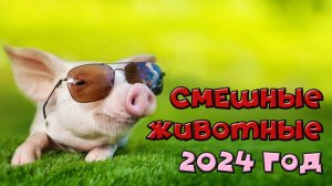 Очень смешная подборка животнх 😂😂😂 2024 год