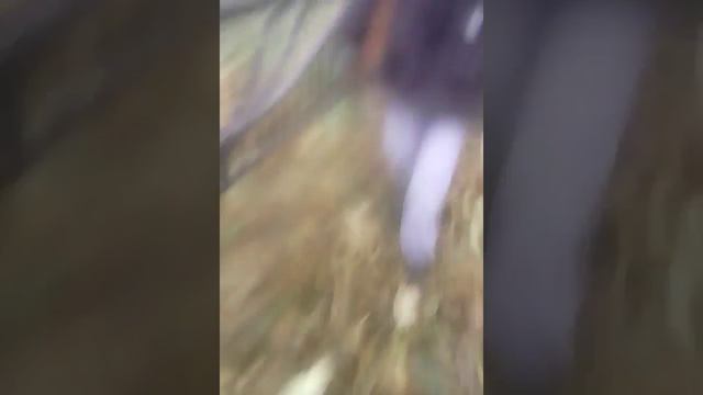 Город Лепель Холодная прогулка смотреть онлайн