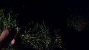 КАРП НА КРУЖКИ В АВГУСТЕ .