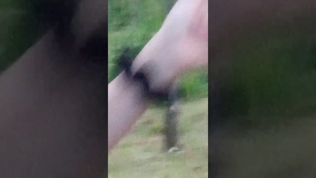 Вечер в деревне с подругой!Скоро уезжаю ?? смотреть онлайн