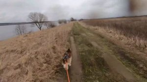 Байкджоринг, тренировки с собакой