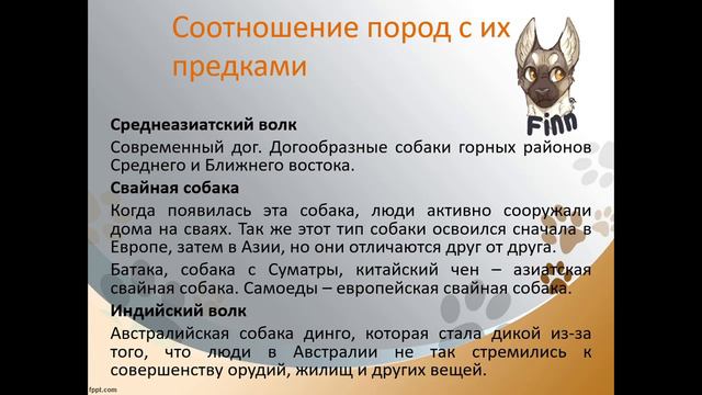 Объединение ""Познай себя" | "Характер собак". смотреть онлайн