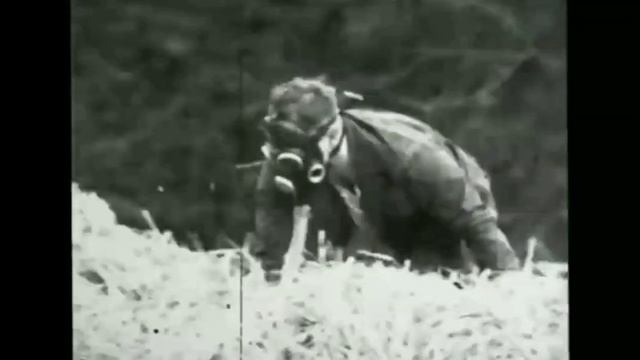 Кто такой Снорк