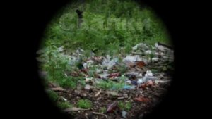 Проблемы экологии Земли