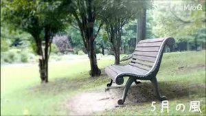 Красивая и грустная музыка на скрипке - инструментальная музыка