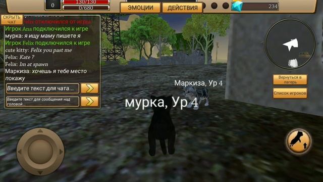 игра Кошка какая няжка, поиграем? смотреть онлайн