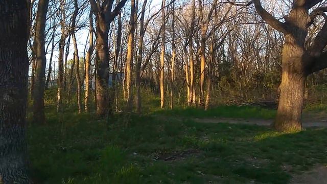 Вяжу жакет .Гуляю и любуюсь природой.Размышления о Советском прошлом.