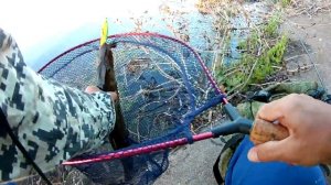 Окунь на Bearking Ito Shiner 115. Щука бастует..mp4