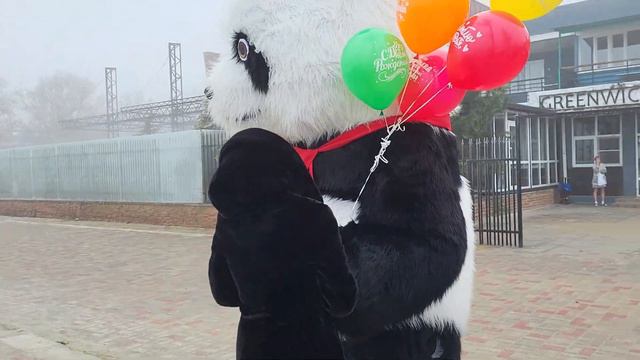 Вот так неожиданно делают сюрприз