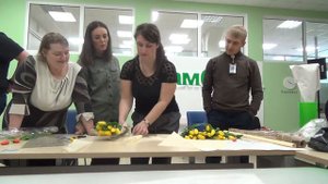 Инструкция по упаковке тюльпанов