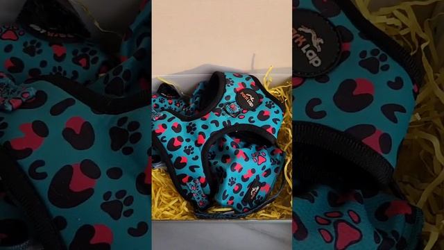 Подарочный набор ГринЛео смотреть онлайн