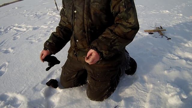 Как правильно вытащить глаз у окуня. смотреть онлайн