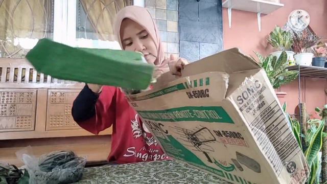 BELANJA TANAMAN HIAS ONLINE  BELI TANAMAN DARI GRUP FACEBOOK