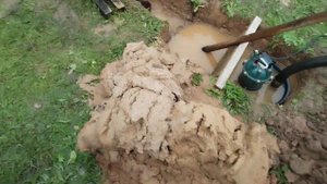 Абиссинка с сюрпризом. Резко ушла вода, чуть не завалило штанги.