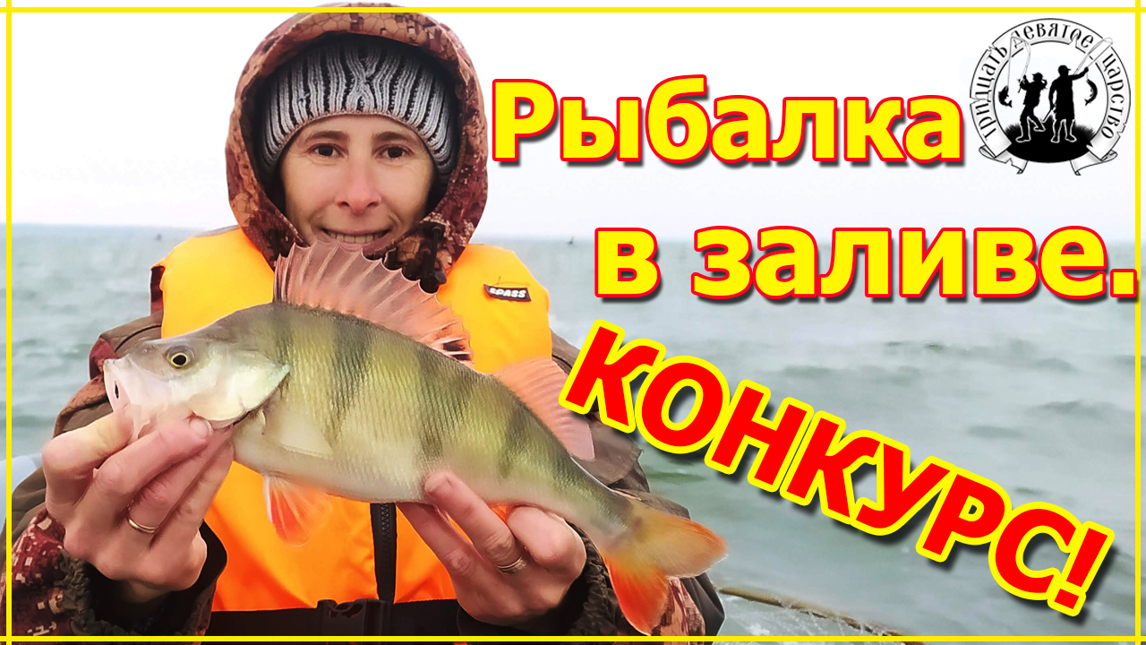 Осенняя рыбалка на Калининградском заливе. Ловля окуня на спиннинг. Конкурс.