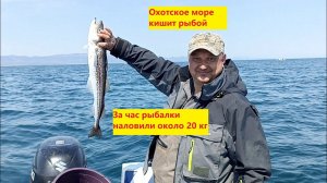 Рыбалка в Охотском море. Первый выход на новом катере. Тестируем катер и рыбачим заодно.