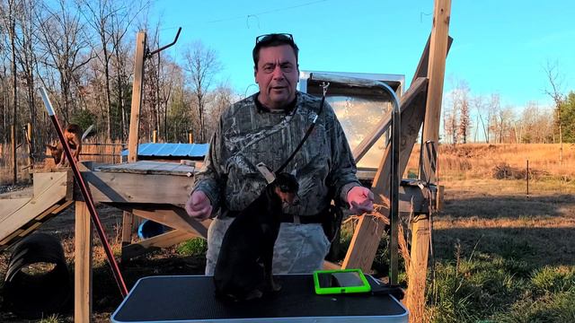 It is time for the 28th Amendment! смотреть онлайн