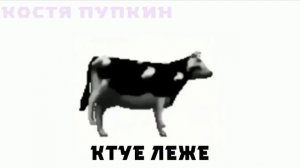 Польская корова (перевод)
