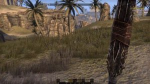 В чём суть - The Elder Scrolls Online ?