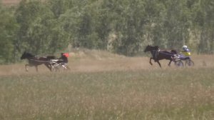 Бега в Краснотуранске 5 заезд 2015(Лошади-Horse–Animal-racing-конь-смотреть-онлайн-скачки)