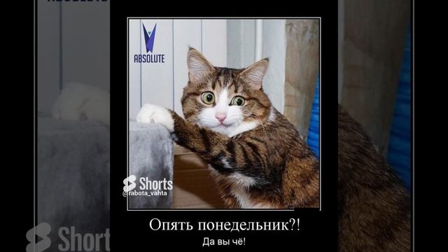 Всех с новой рабочей неделей! #выходные #неделя #понедельник #работа #вакансии #топ #лайк
