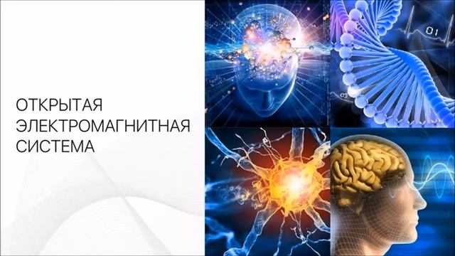 Биоэнергетика человека.  Создание идеальных условий для самовосстановления организма
