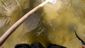 Обнаружил ЛЫЖНИКА под водой! Металлоискатель Gold Hunter B75 Frogman