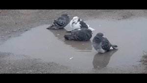 Запорожье сегодня. Утро. Запорожье 17.11.2022.