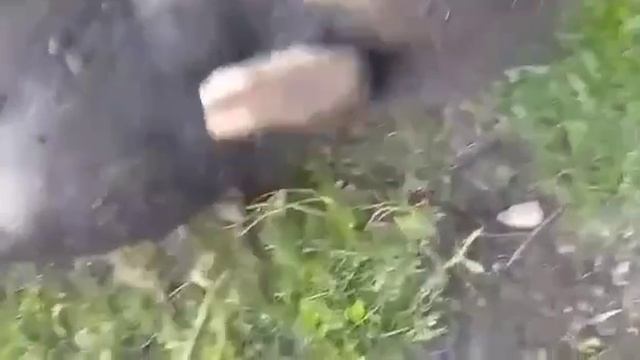 Видео,приколы,юмор,смех