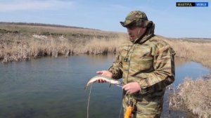В Ростовской области прудовое рыбоводство под угрозой! Что будет с отраслью? #ОРЫБАЛКЕ