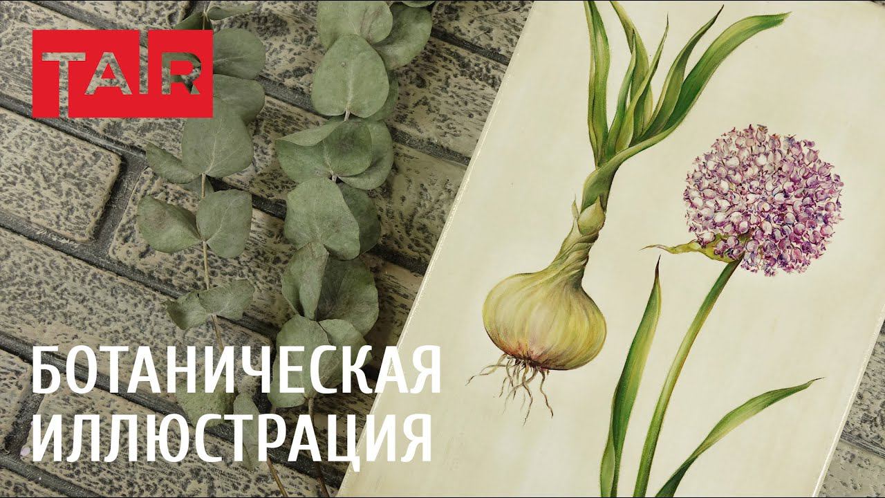 Ботаническая иллюстрация на холсте. Speedpaint.