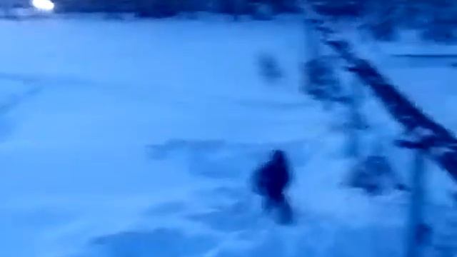 Делаем сальто вперёд и назад с трубы смотреть онлайн