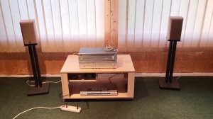 Тыловые колонки вместо полочников? Yamaha NS-E55 – любительский обзор от Макса