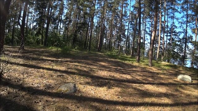 отдых с друзьями на природе смотреть онлайн