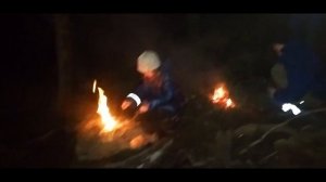 ЛЕС,НОЧЬ,и СОБАКУ СБИЛА МАШИНА