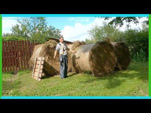 "Рулонный сенокос" будет непростым и деревенские будни!