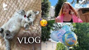 ВЛОГ: Мы ЗАВЕЛИ КОТЕНКА Встречаем подругу из РОДДОМА