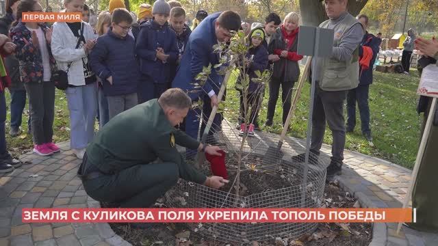 Тополь Победы в экопарке "Первая миля" засыпали исторической землей с Куликова поля