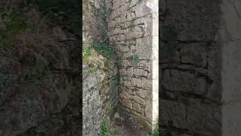 Анакопийская крепость. Абхазия. Новый Афон.#СеменовнаОтдыхе