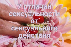 7 отличий сексуальности от сексуального действия