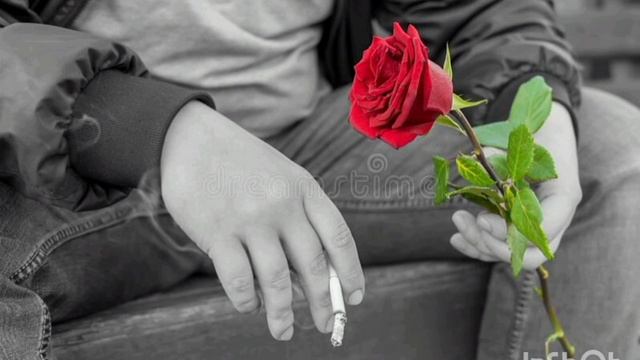 Александр Шоуа.Почему