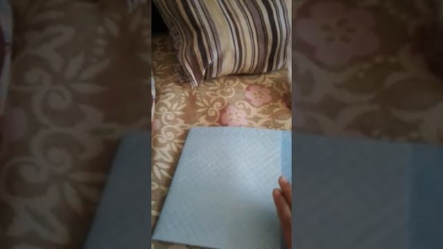 Я еду к бабушке. Что надо собрать для ёрка в поездку!!! смотреть онлайн