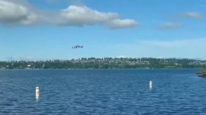 Топ 5 долговязая лошадь снятая на камеру