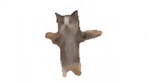 Кот шнип шнап шнапи флексит 1 час: