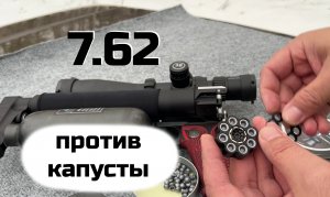 7.62 против тещиной капусты