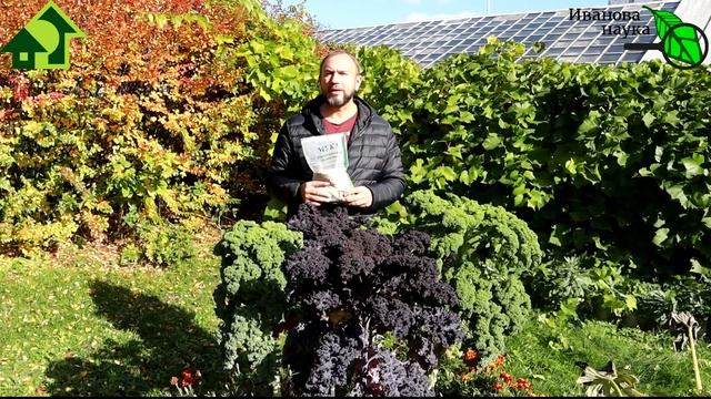 ВНОШУ ЕЖЕГОДНО! Секреты внесения ДОЛОМИТОВОЙ МУКИ. Дешевое удобрение с замечательными свойствами!