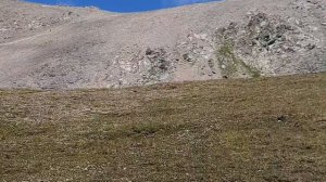 Архыз. Перевал Федосеева