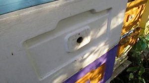 октябрь на пасеке - подготовка на пасеке к прилету синичек