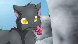 |•Коты-Воители•||Клип||~Холодок~